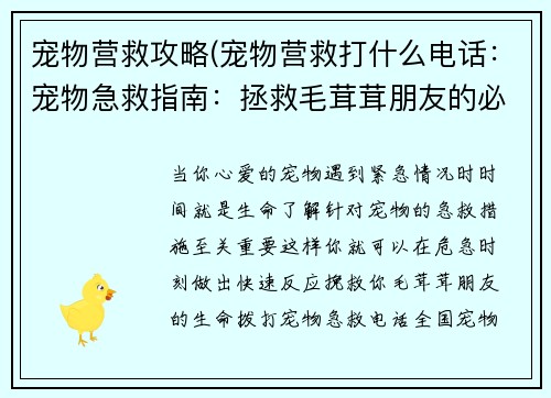 宠物营救攻略(宠物营救打什么电话：宠物急救指南：拯救毛茸茸朋友的必备知识)